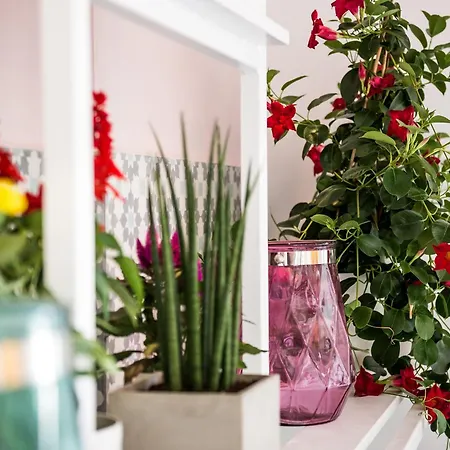 Hotel Nyx Chic Manor