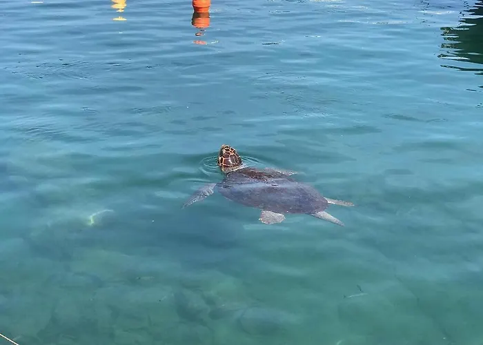 Nyx Chic Manor 3* Chania (Crete)