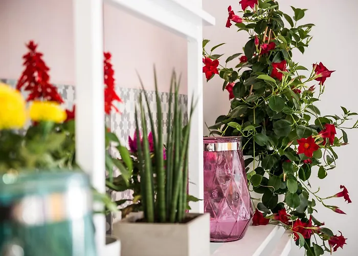 فندق Nyx Chic Manor